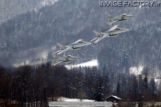 2007-03-24 Meiringen Airshow 0676 FA-18C Hornet e F-5E Tiger II